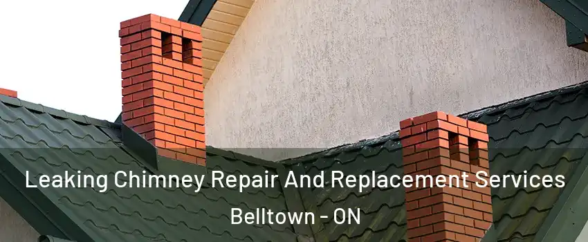  Leaking Chimney Repair And Replacement Services Belltown - ON