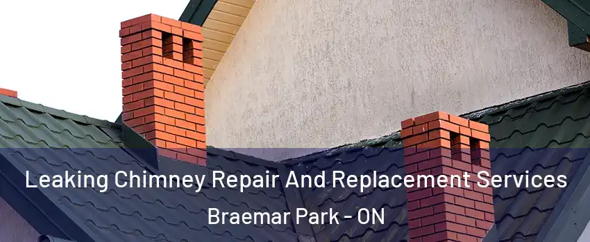  Leaking Chimney Repair And Replacement Services Braemar Park - ON