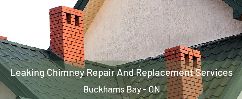  Leaking Chimney Repair And Replacement Services Buckhams Bay - ON