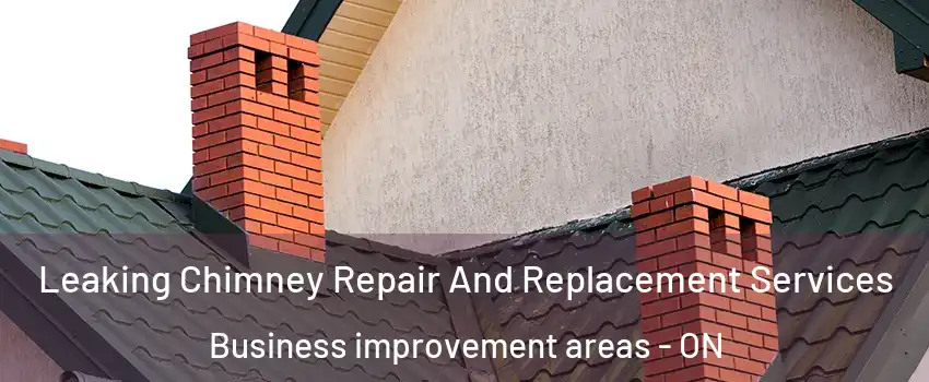  Leaking Chimney Repair And Replacement Services Business improvement areas - ON