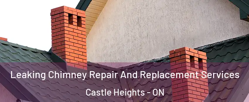  Leaking Chimney Repair And Replacement Services Castle Heights - ON