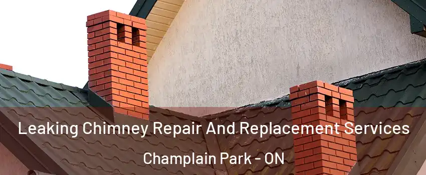  Leaking Chimney Repair And Replacement Services Champlain Park - ON