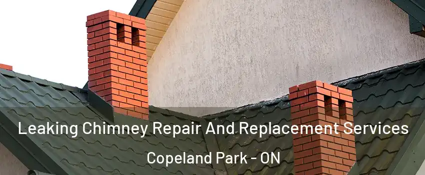  Leaking Chimney Repair And Replacement Services Copeland Park - ON