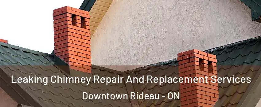  Leaking Chimney Repair And Replacement Services Downtown Rideau - ON