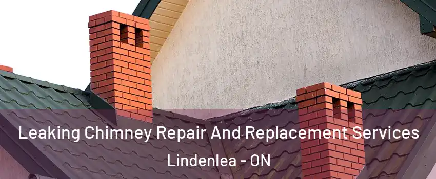  Leaking Chimney Repair And Replacement Services Lindenlea - ON