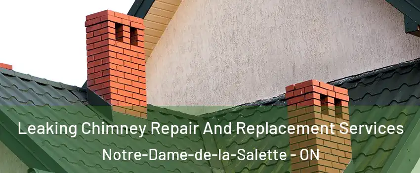  Leaking Chimney Repair And Replacement Services Notre-Dame-de-la-Salette - ON