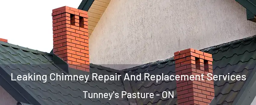  Leaking Chimney Repair And Replacement Services Tunney's Pasture - ON