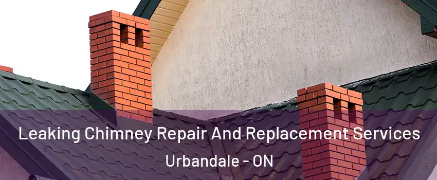  Leaking Chimney Repair And Replacement Services Urbandale - ON