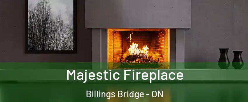  Majestic Fireplace Billings Bridge - ON