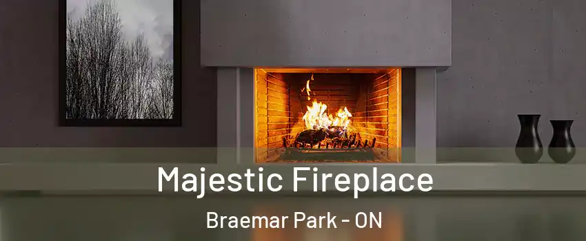  Majestic Fireplace Braemar Park - ON