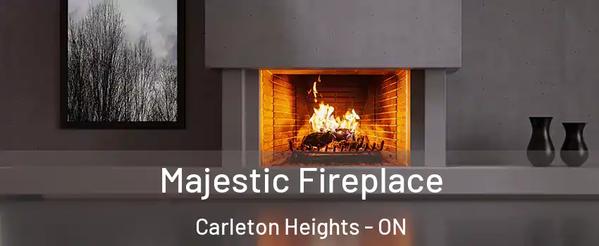  Majestic Fireplace Carleton Heights - ON