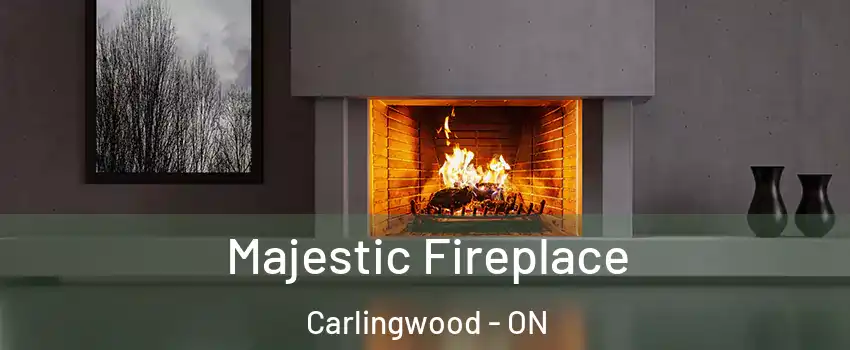  Majestic Fireplace Carlingwood - ON