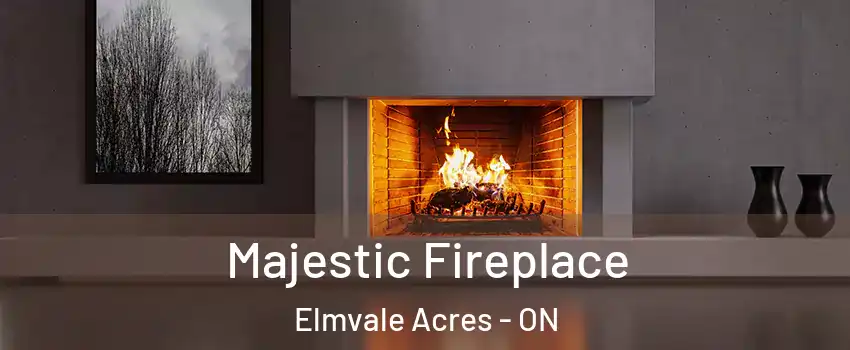  Majestic Fireplace Elmvale Acres - ON