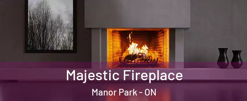  Majestic Fireplace Manor Park - ON