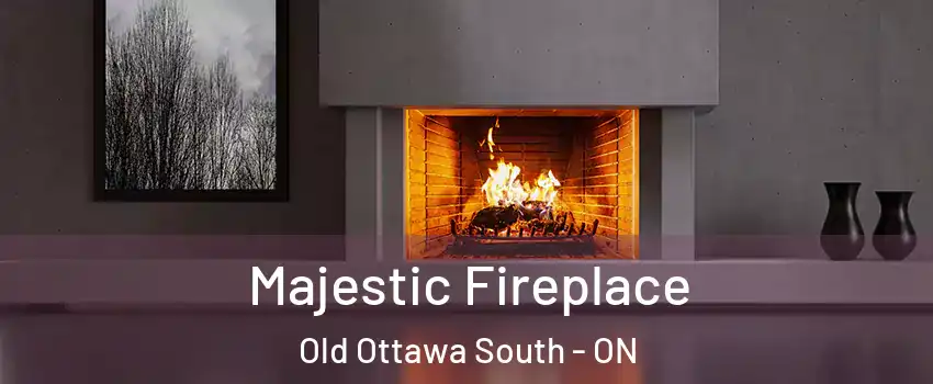  Majestic Fireplace Old Ottawa South - ON