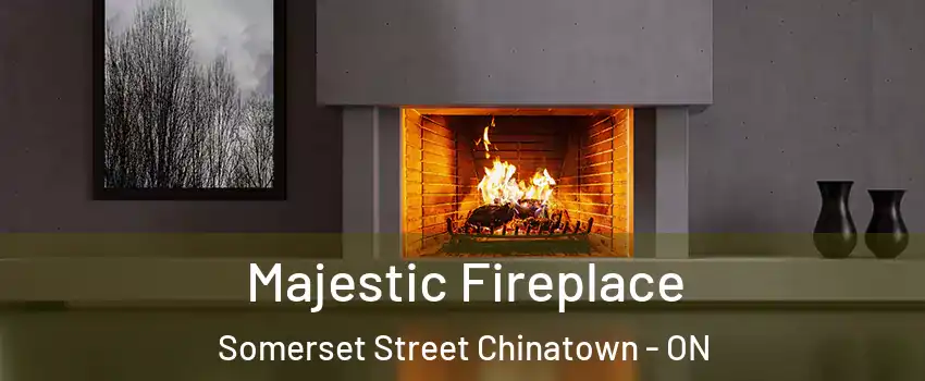  Majestic Fireplace Somerset Street Chinatown - ON