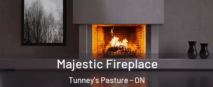  Majestic Fireplace Tunney's Pasture - ON