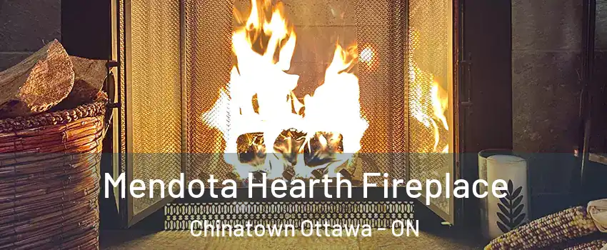  Mendota Hearth Fireplace Chinatown Ottawa - ON