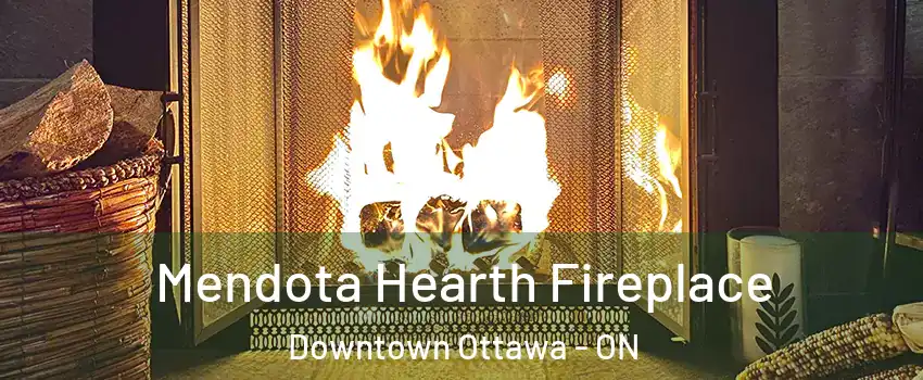  Mendota Hearth Fireplace Downtown Ottawa - ON