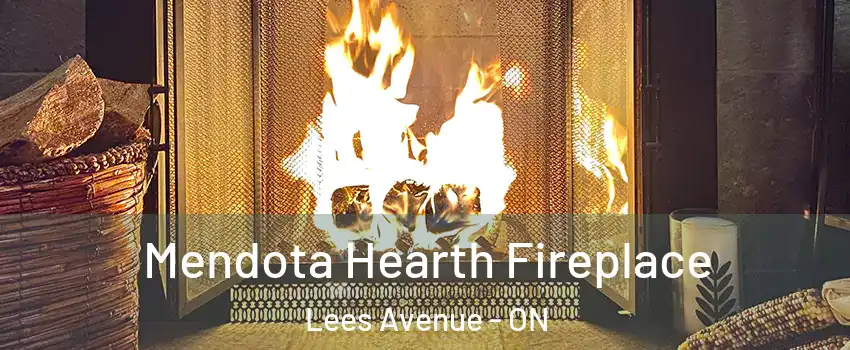  Mendota Hearth Fireplace Lees Avenue - ON