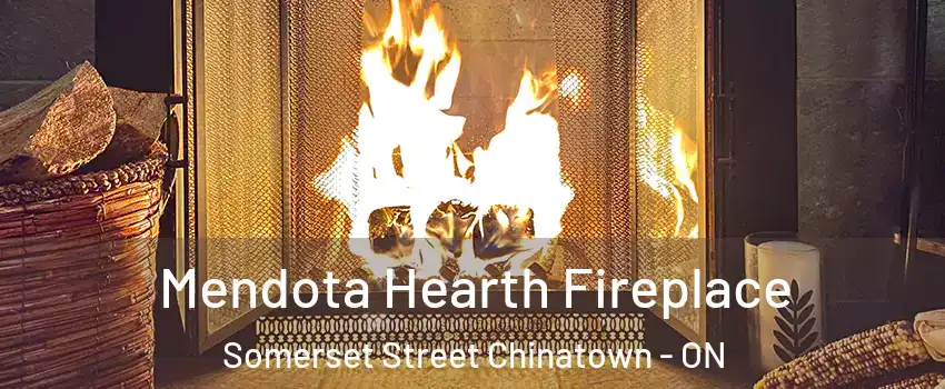  Mendota Hearth Fireplace Somerset Street Chinatown - ON