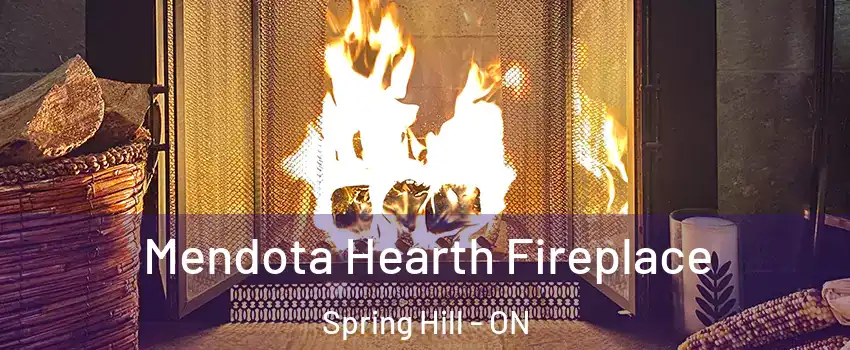  Mendota Hearth Fireplace Spring Hill - ON