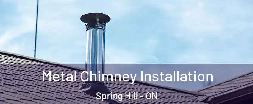  Metal Chimney Installation Spring Hill - ON