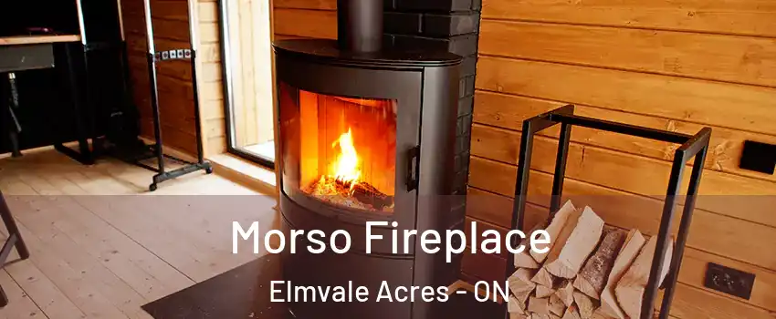  Morso Fireplace Elmvale Acres - ON