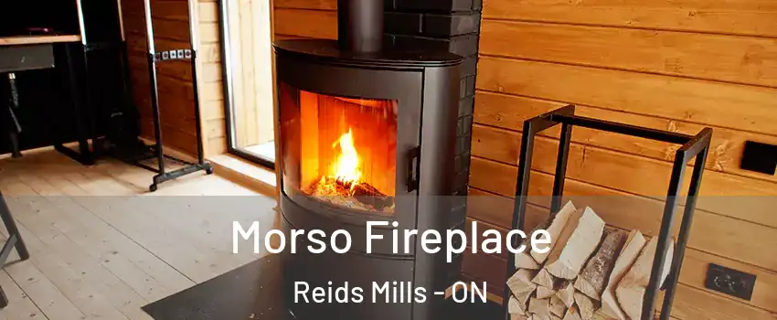  Morso Fireplace Reids Mills - ON