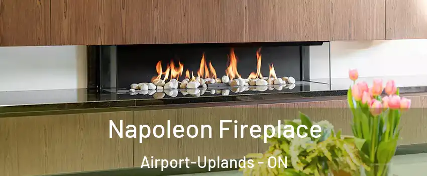  Napoleon Fireplace Airport-Uplands - ON