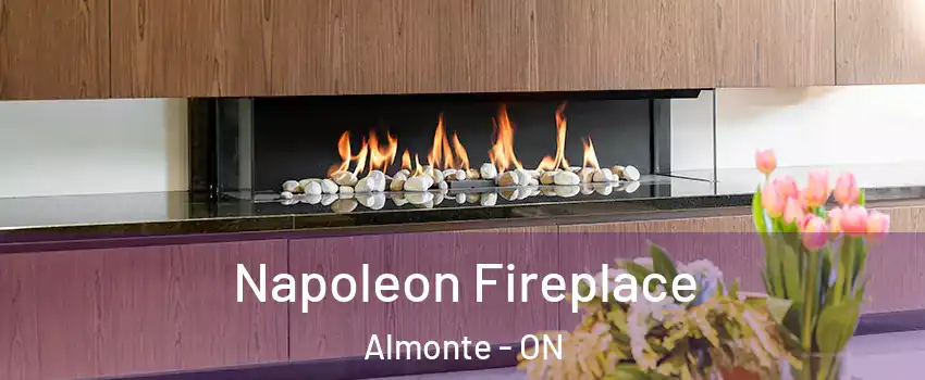  Napoleon Fireplace Almonte - ON