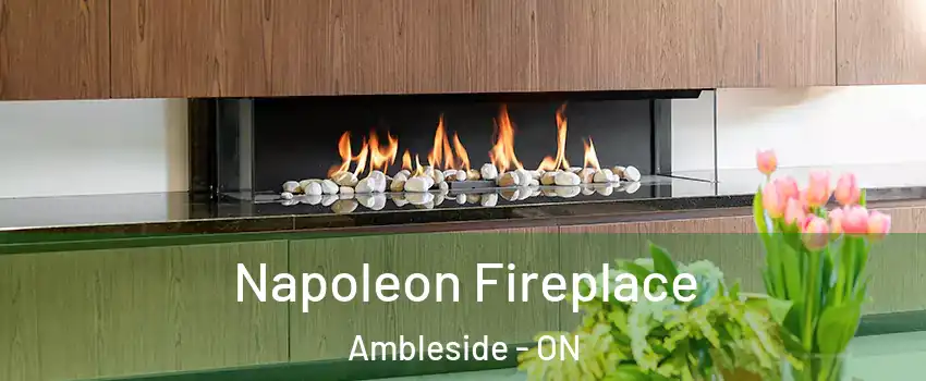  Napoleon Fireplace Ambleside - ON