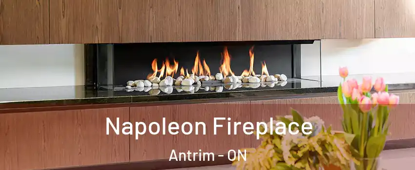  Napoleon Fireplace Antrim - ON