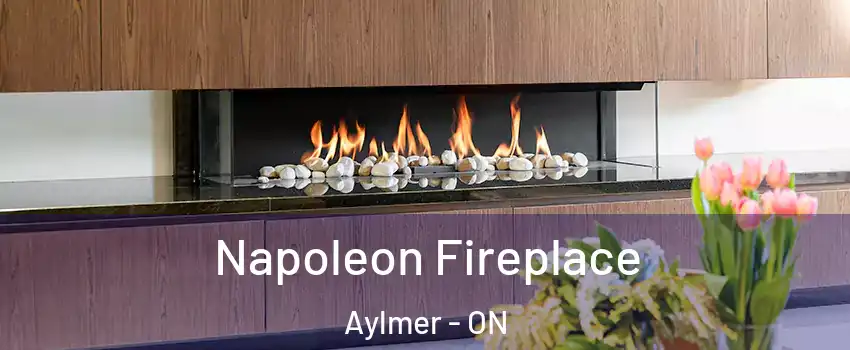  Napoleon Fireplace Aylmer - ON