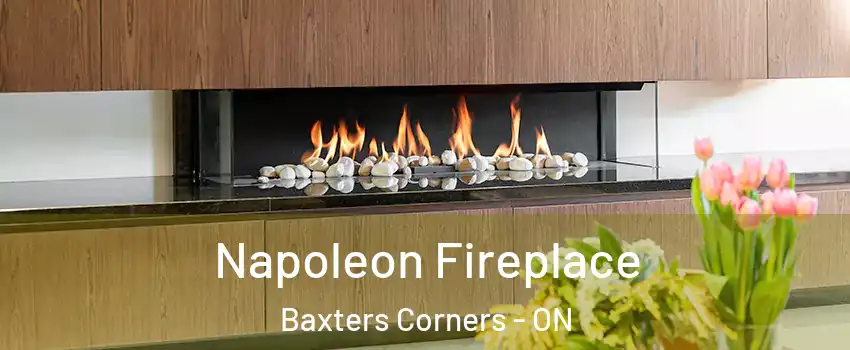  Napoleon Fireplace Baxters Corners - ON