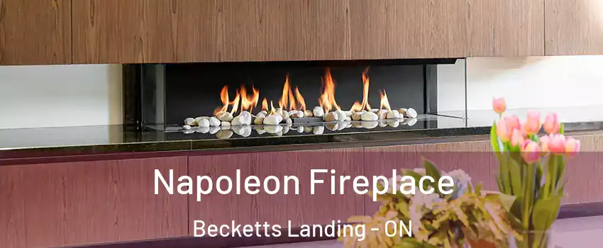  Napoleon Fireplace Becketts Landing - ON