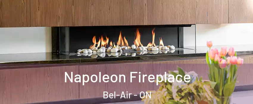  Napoleon Fireplace Bel-Air - ON