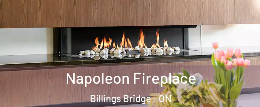  Napoleon Fireplace Billings Bridge - ON