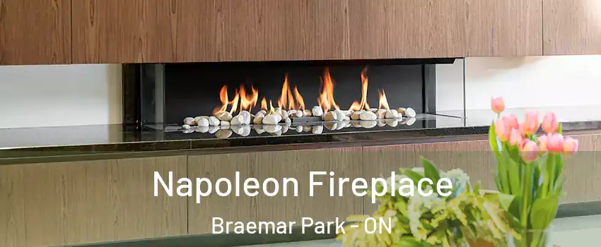  Napoleon Fireplace Braemar Park - ON