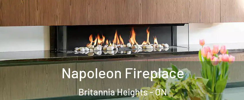  Napoleon Fireplace Britannia Heights - ON