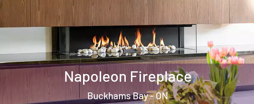  Napoleon Fireplace Buckhams Bay - ON