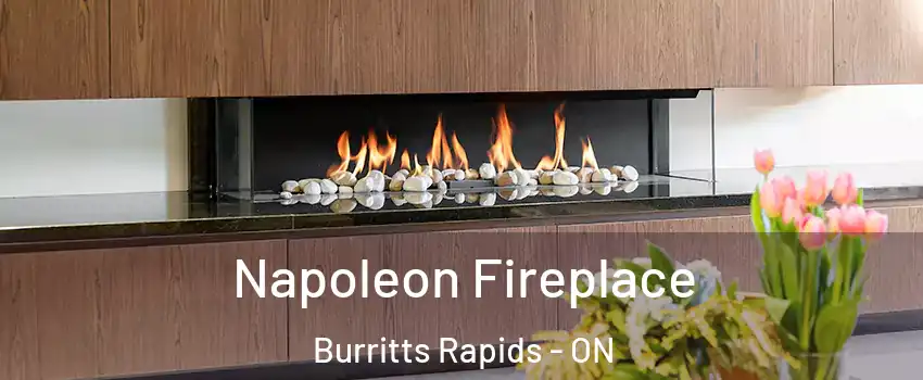  Napoleon Fireplace Burritts Rapids - ON