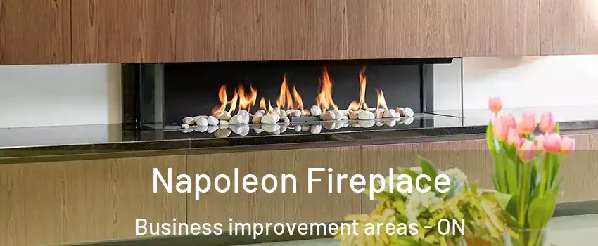  Napoleon Fireplace Business improvement areas - ON