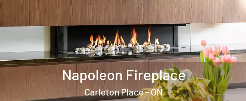  Napoleon Fireplace Carleton Place - ON