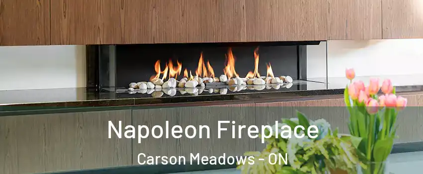  Napoleon Fireplace Carson Meadows - ON