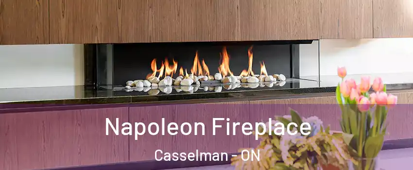  Napoleon Fireplace Casselman - ON