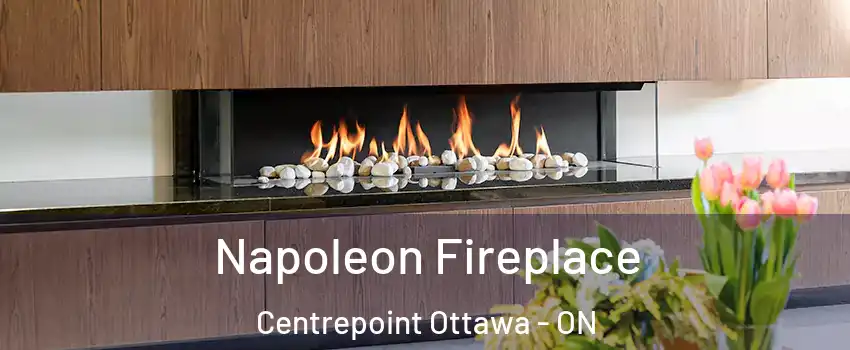  Napoleon Fireplace Centrepoint Ottawa - ON