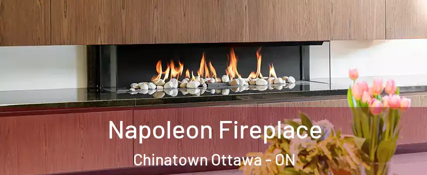  Napoleon Fireplace Chinatown Ottawa - ON