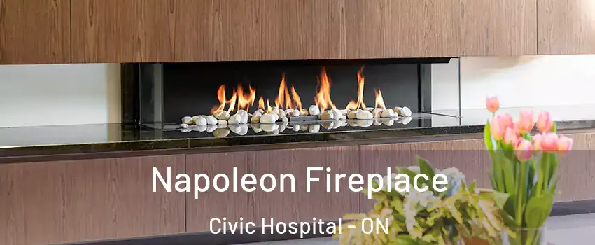  Napoleon Fireplace Civic Hospital - ON