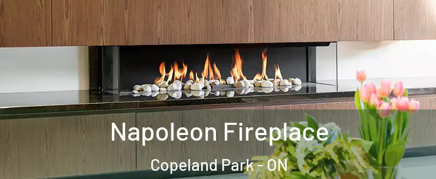  Napoleon Fireplace Copeland Park - ON